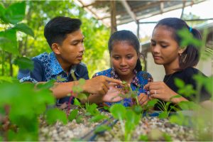 kitchen-garden-kids